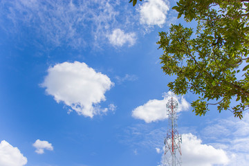 Dark clouds before the storm is the background. Black clouds cover the forest before the storm and...