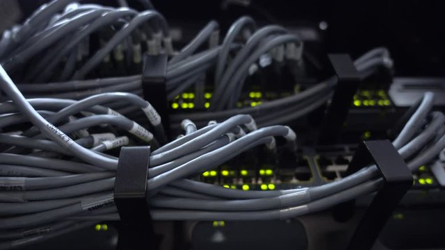 UTP Cable close up. Blink Led swich.