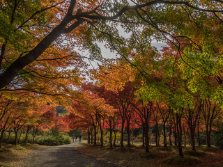 旭川ダム公園