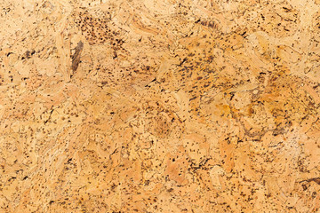 Texture from a corkwood background in brown-yellow color, close up shot.