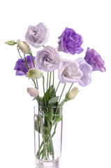 bunch of violet, white and violet eustoma flowers in glass vase isolated on white