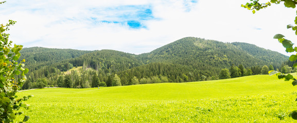 Panorama composition of Meadow at Prostboden National Park in Schliersee in Germany
