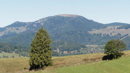 Obraz premium Landschaft vom Schwarzwald in Sommer. Blick auf das Belchen vom 'Holzer Kreuz' im Fröhnder Ortsteil Holz aus
