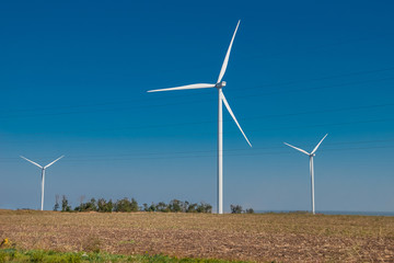 Wind power stations work in the field.