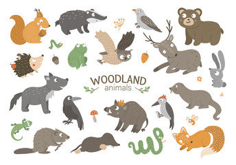 Obraz premium Set of vector hand drawn flat woodland animals. Funny animalistic collection. Cute forest illustration for children’s design, print, stationery.