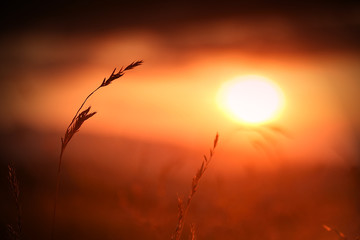 Zachód Słońca Muszyna