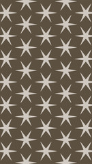 Ornate geometric pattern and two-tone abstract background