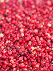 Cranberries or Vaccinium oxycoccos vertical background. Foreground focus