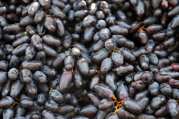 Dark long grape background, sunlight. Fresh fruit brunch grapes, fruit market. Wine grape. Moon Drops or Witch Fingers grape