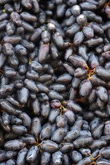 Dark long grape vertical background, sunlight. Fresh fruit brunch grapes, fruit market. Wine grape. Moon Drops or Witch Fingers grape