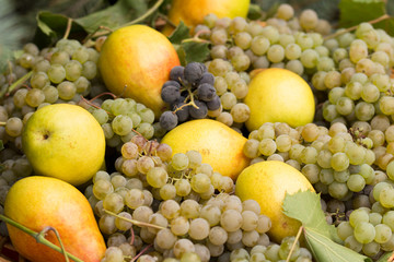 Naklejka na ściany i meble close up view of grapes and pears .