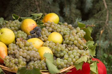 close up view of grapes and pears .