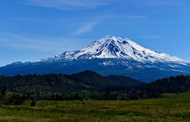 Naklejka premium Grenn Meadow and snow mountain with blue sky. Mount Shasta, California, USA