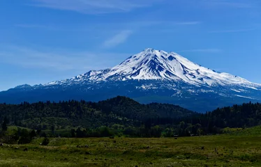Foto op Canvas Grenn Meadow and snow mountain with blue sky. Mount Shasta, California, USA © Fangzhou