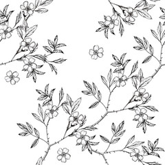 Fototapeta premium Botanical drawing flowers cosmos pattern. Seamless flower pattern background with Dog-rose flower drawing illustration for wedding table, greetings, wallpaper, fashion, backgrounds, wrappers, cards