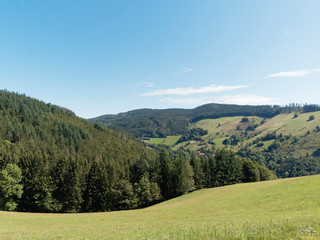 Fototapeta premium Landschaft vom Schwarzwald. Grüne Landschaften der Schwarzwaldberge. Wiesen und Hügel rund um Fröhnd