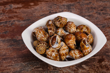 Tasty mollusk - spotted Babylon in the bowl