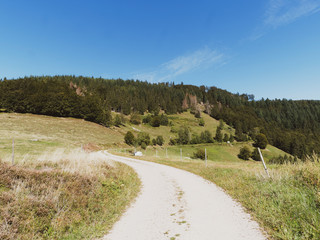 Landschaft vom Schwarzwald. Blick auf die Berglandschaft rund um Fröhnd vom Panoramaweg