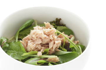 Canned food, tuna and spinach salad