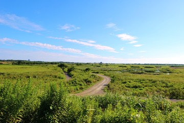 Fototapeta premium 風景 秋 道 空 雲 渡良瀬 栃木