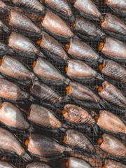 Dried fish in Thailand