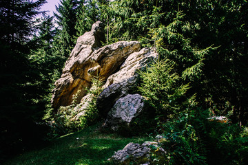 Fototapeta premium Mountain village landscape in the wild Ukrainian Bukovyna area