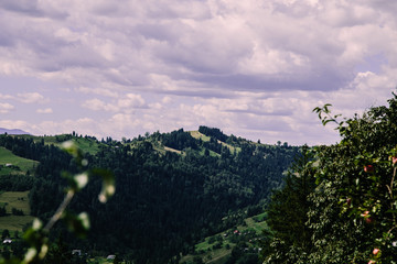 Fototapeta na wymiar Mountain village landscape in the wild Ukrainian Bukovyna area