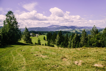 Mountain village landscape in the wild Ukrainian Bukovyna area