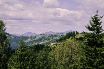 Mountain village landscape in the wild Ukrainian Bukovyna area