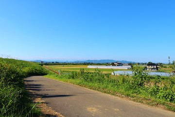 田舎　秋　空　道　渡良瀬　栃木　日本