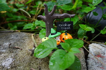 Halloween dolls in the garden isolated 