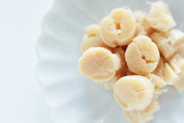 Canned food, boiled scallop in dish with copy space