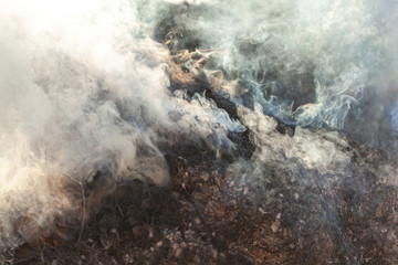 Burning grass and leaves, fire while cleaning the garden. Voluminous smoke
