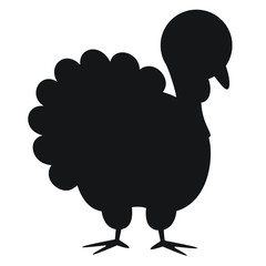 Turkey bird, flat, vector illustration