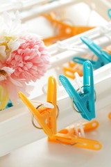 laundry clips on white background for house keeping 