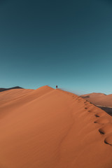 Fototapeta na wymiar Person walking along a sand dune in the desert 