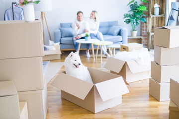 Young beautiful couple with dog sitting on the sofa at new home around cardboard boxes