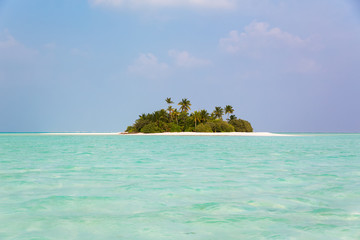 Maldive mare caraibi - 289816096