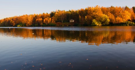 autumn landscape with lake and trees
