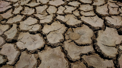 mud land critical dry form global warming