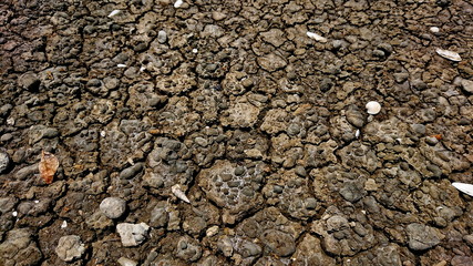 mud land critical dry form global warming