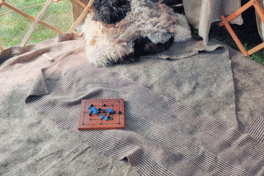 The mill Board game with the placed position lies on the carpet. Game Board checkers with a grandparent spaced chips.