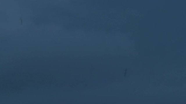 TIMELAPSE video of dancing Mayflies with fast moving clouds in the background.