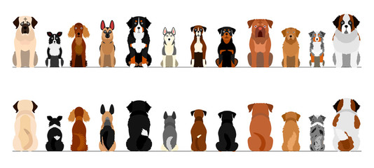 large dogs border border set, full length, front and back