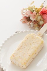 mango ice bar on white dish with copy space