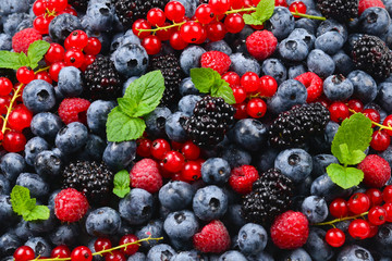 Blackberry, raspberry, blueberry,  red currant and mint background.