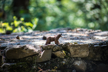 Brown bear walking in forest. Mini bear figure (or toy bear) at the park.