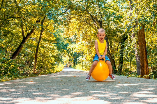 Adorable little happy boy playing and jumping with hopper ball in sunny park