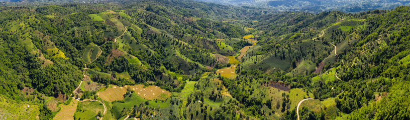 Fototapeta na wymiar aerial view valley and agricultural green tea and rice area