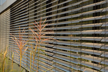 semi-closed outside blinds close-up, metal external blinds as sun and sight protection